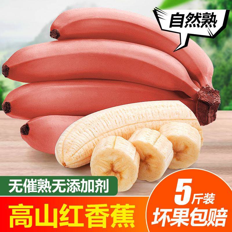 界十大稀有水果之一！香糯甜爽 土楼特产红美人蕉 红皮香蕉 营养丰富 5斤装